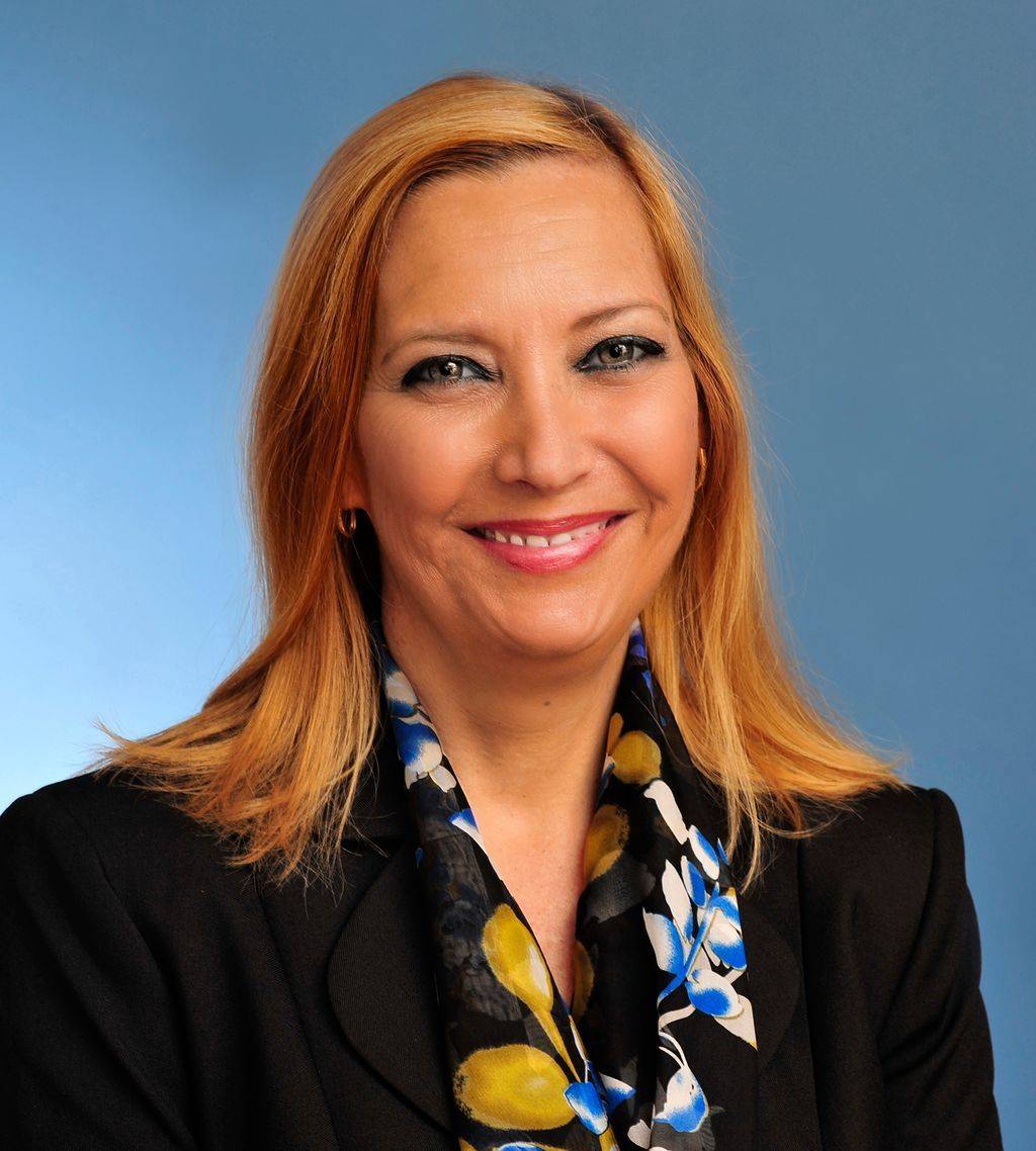 Lynne A. Whited Jenner & Block LLP Law Firm